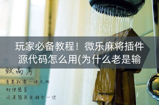 玩家必备教程！微乐麻将插件源代码怎么用(为什么老是输呢)