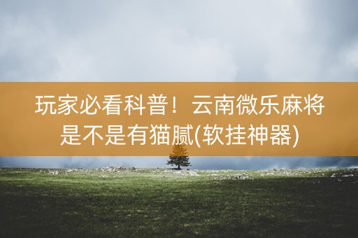 玩家必看科普！云南微乐麻将是不是有猫腻(软挂神器)