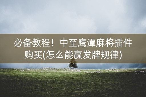 必备教程！中至鹰潭麻将插件购买(怎么能赢发牌规律)
