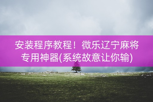 安装程序教程！微乐辽宁麻将专用神器(系统故意让你输)
