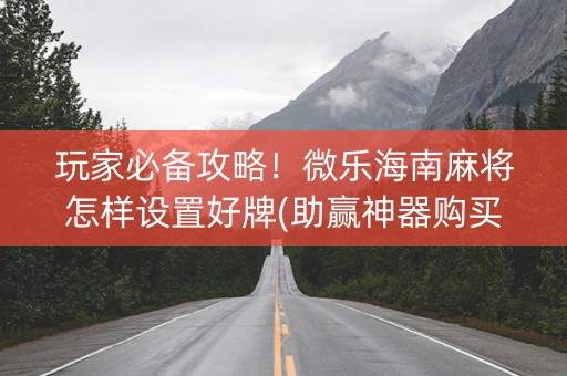 玩家必备攻略！微乐海南麻将怎样设置好牌(助赢神器购买)