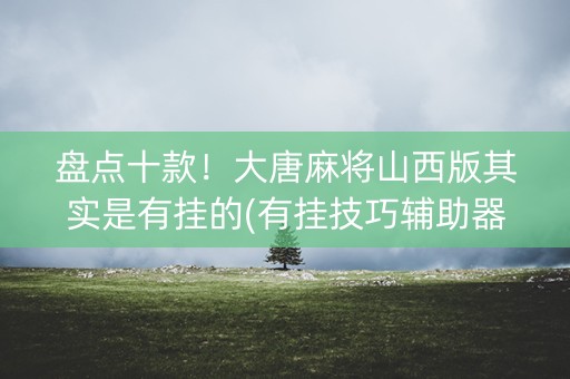 盘点十款！大唐麻将山西版其实是有挂的(有挂技巧辅助器)