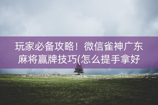 玩家必备攻略！微信雀神广东麻将赢牌技巧(怎么提手拿好牌)