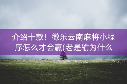 介绍十款！微乐云南麻将小程序怎么才会赢(老是输为什么)