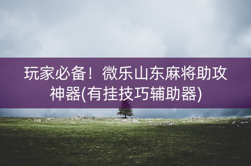 玩家必备！微乐山东麻将助攻神器(有挂技巧辅助器)