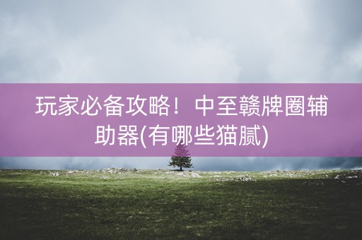 玩家必备攻略！中至赣牌圈辅助器(有哪些猫腻)