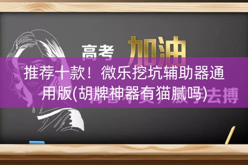 推荐十款！微乐挖坑辅助器通用版(胡牌神器有猫腻吗)