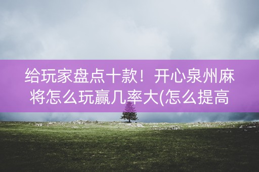 给玩家盘点十款！开心泉州麻将怎么玩赢几率大(怎么提高胜率)