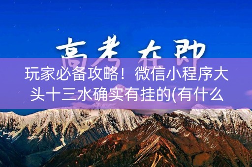玩家必备攻略！微信小程序大头十三水确实有挂的(有什么规律)