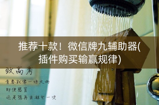 推荐十款！微信牌九辅助器(插件购买输赢规律)