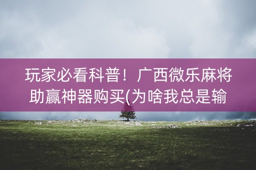 玩家必看科普！广西微乐麻将助赢神器购买(为啥我总是输)