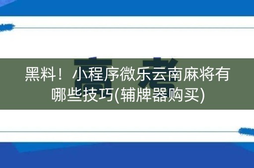 黑料！小程序微乐云南麻将有哪些技巧(辅牌器购买)