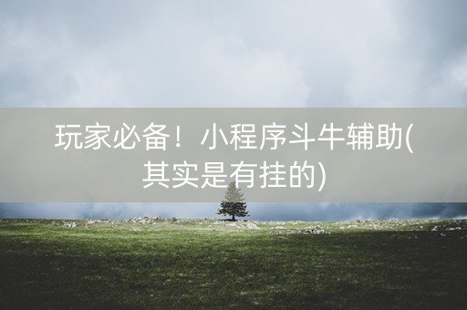 玩家必备！小程序斗牛辅助(其实是有挂的)
