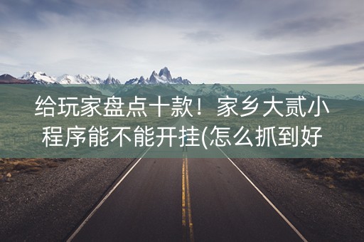 给玩家盘点十款！家乡大贰小程序能不能开挂(怎么抓到好牌)