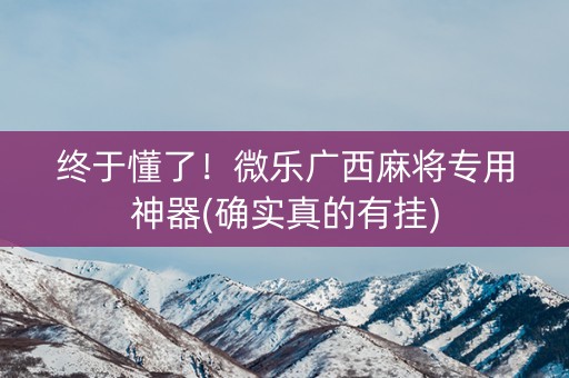 终于懂了！微乐广西麻将专用神器(确实真的有挂)