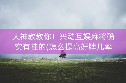 大神教教你！兴动互娱麻将确实有挂的(怎么提高好牌几率)