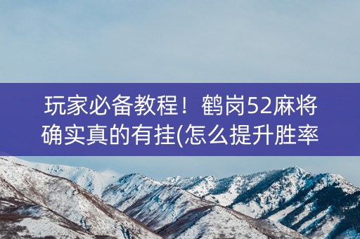 玩家必备教程！鹤岗52麻将确实真的有挂(怎么提升胜率)