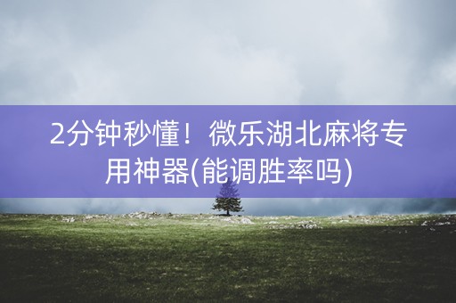 2分钟秒懂！微乐湖北麻将专用神器(能调胜率吗)