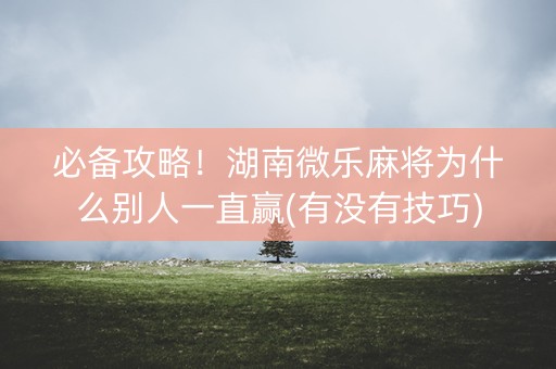 必备攻略！湖南微乐麻将为什么别人一直赢(有没有技巧)