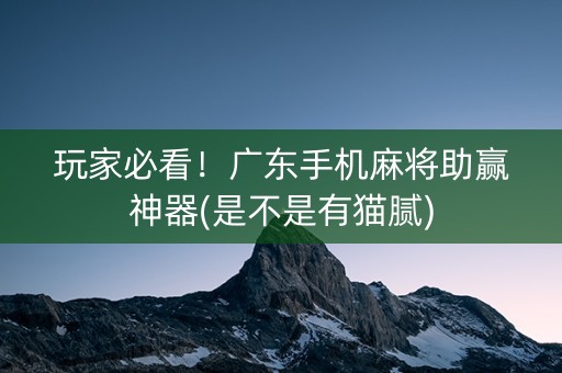 玩家必看！广东手机麻将助赢神器(是不是有猫腻)