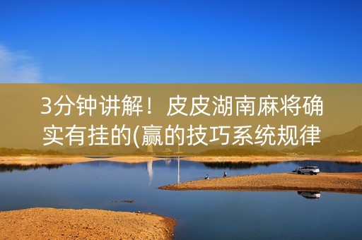 3分钟讲解！皮皮湖南麻将确实有挂的(赢的技巧系统规律)