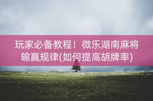 玩家必备教程！微乐湖南麻将输赢规律(如何提高胡牌率)