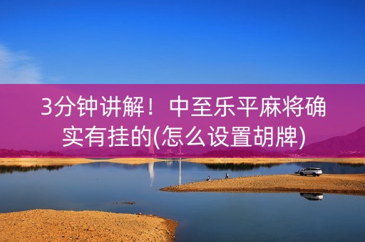 3分钟讲解！中至乐平麻将确实有挂的(怎么设置胡牌)