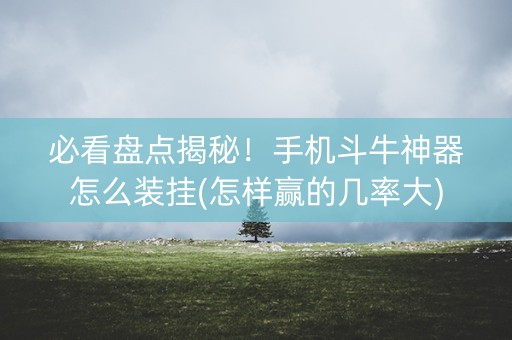 必看盘点揭秘！手机斗牛神器怎么装挂(怎样赢的几率大)