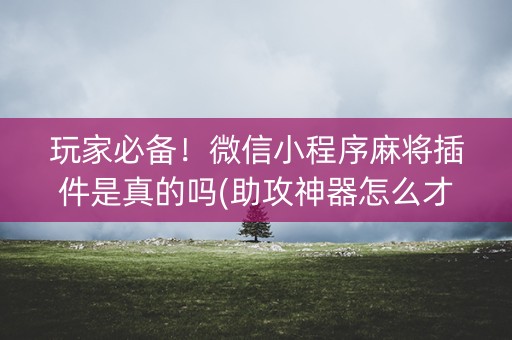 玩家必备！微信小程序麻将插件是真的吗(助攻神器怎么才会赢)