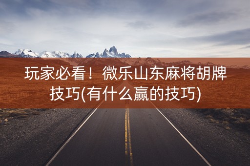 玩家必看！微乐山东麻将胡牌技巧(有什么赢的技巧)