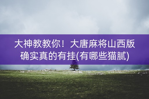 大神教教你！大唐麻将山西版确实真的有挂(有哪些猫腻)