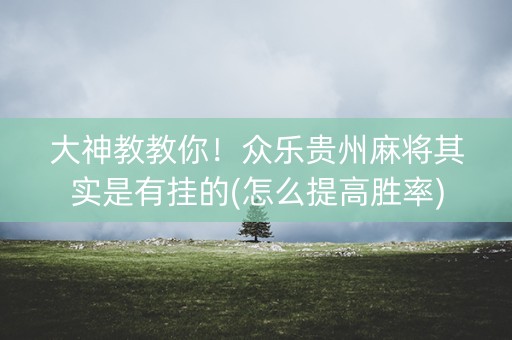 大神教教你！众乐贵州麻将其实是有挂的(怎么提高胜率)