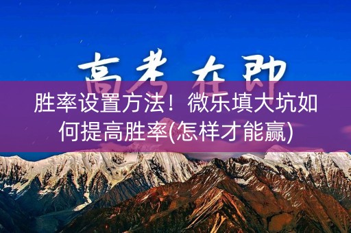 胜率设置方法！微乐填大坑如何提高胜率(怎样才能赢)