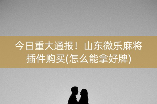 今日重大通报！山东微乐麻将插件购买(怎么能拿好牌)