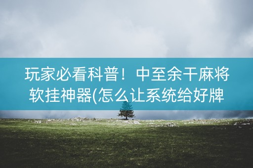 玩家必看科普！中至余干麻将软挂神器(怎么让系统给好牌)