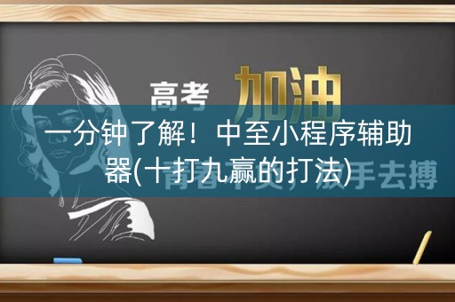 一分钟了解！中至小程序辅助器(十打九赢的打法)
