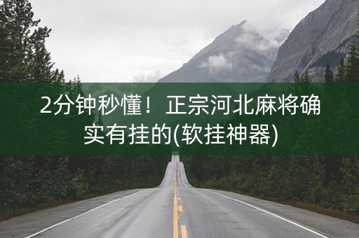 2分钟秒懂！正宗河北麻将确实有挂的(软挂神器)