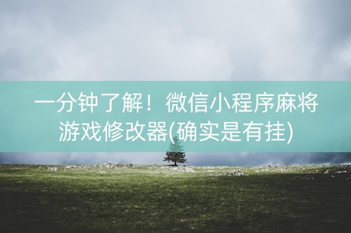 一分钟了解！微信小程序麻将游戏修改器(确实是有挂)
