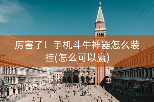 厉害了！手机斗牛神器怎么装挂(怎么可以赢)