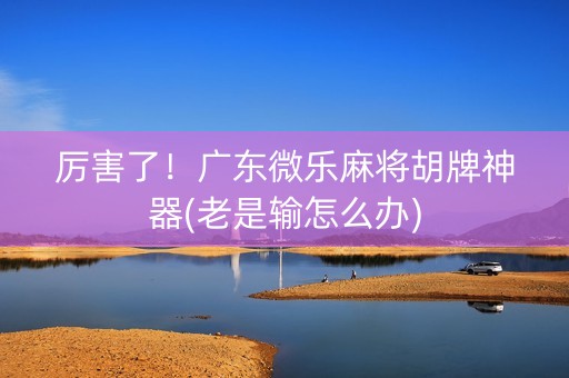 厉害了！广东微乐麻将胡牌神器(老是输怎么办)