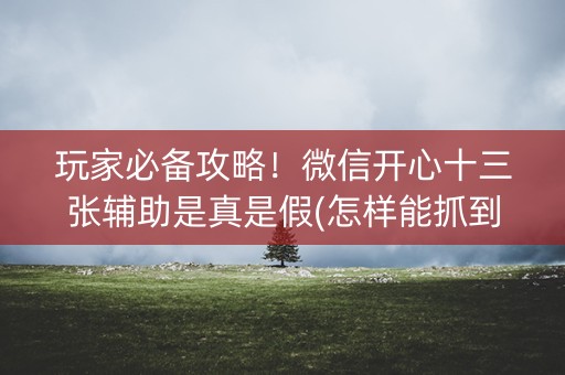 玩家必备攻略！微信开心十三张辅助是真是假(怎样能抓到好牌)