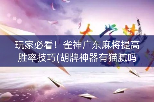 玩家必看！雀神广东麻将提高胜率技巧(胡牌神器有猫腻吗)