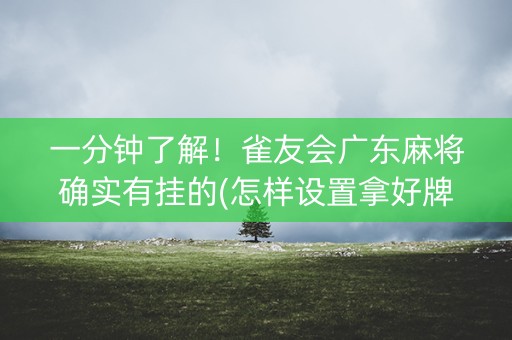 一分钟了解！雀友会广东麻将确实有挂的(怎样设置拿好牌)