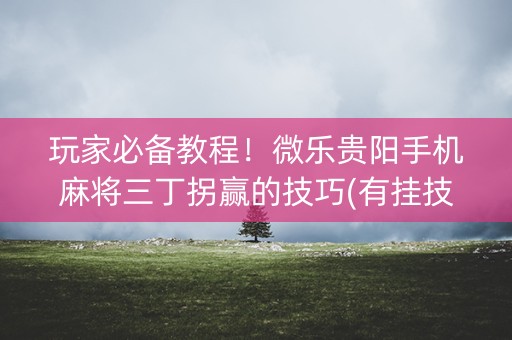 玩家必备教程！微乐贵阳手机麻将三丁拐赢的技巧(有挂技巧辅助器)