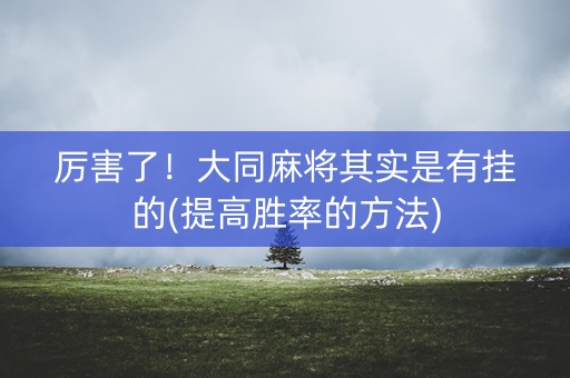 厉害了！大同麻将其实是有挂的(提高胜率的方法)