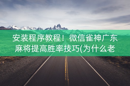 安装程序教程！微信雀神广东麻将提高胜率技巧(为什么老输)