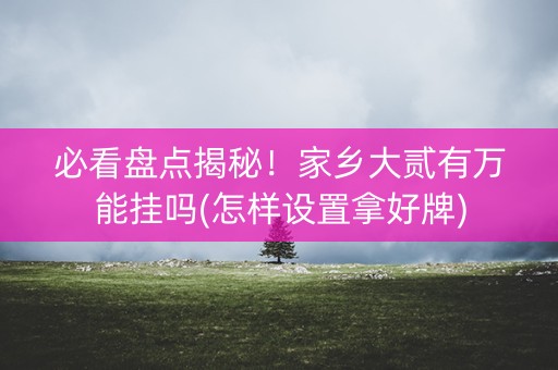 必看盘点揭秘！家乡大贰有万能挂吗(怎样设置拿好牌)