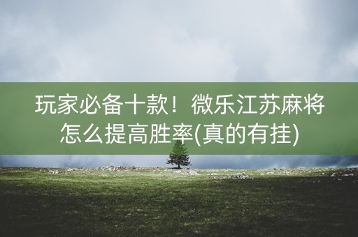 玩家必备十款！微乐江苏麻将怎么提高胜率(真的有挂)