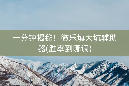 一分钟揭秘！微乐填大坑辅助器(胜率到哪调)