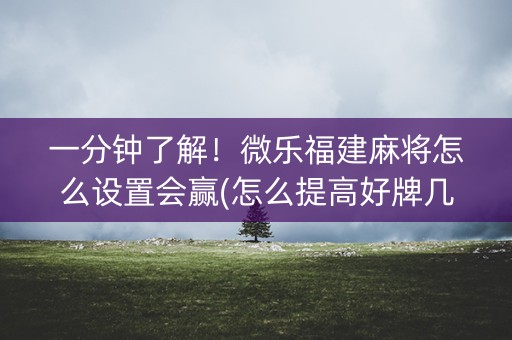 一分钟了解！微乐福建麻将怎么设置会赢(怎么提高好牌几率)